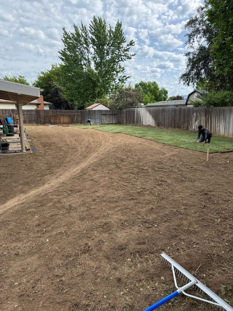 Alive & Green crew installing sod in a backyard in Boise